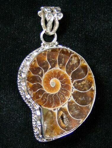Fossil Ammonite Pendant - Sterling Silver #16789
